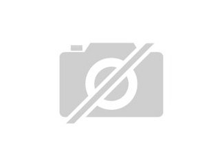 Brennholz Kaminholz gesucht